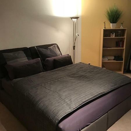 Kleine Wohnung Im Gruenen دريسدن المظهر الخارجي الصورة