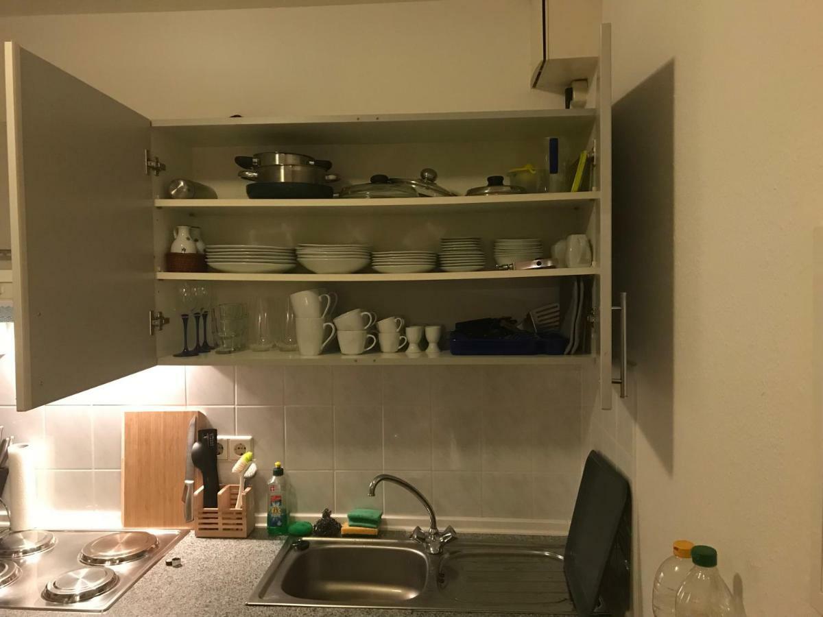 Kleine Wohnung Im Gruenen دريسدن المظهر الخارجي الصورة