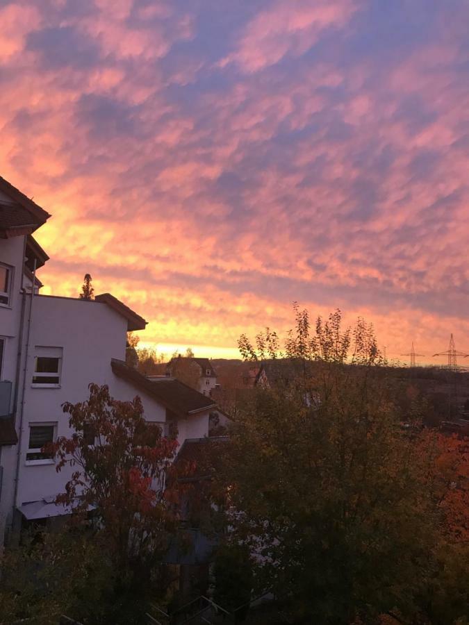 Kleine Wohnung Im Gruenen دريسدن المظهر الخارجي الصورة